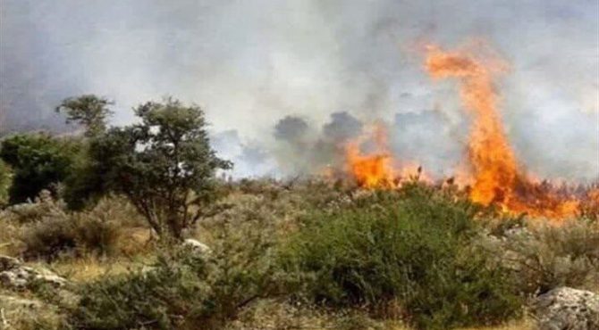 ادامه آتش‌سوزی در جنگل های «سیه‌چل» ایلام
