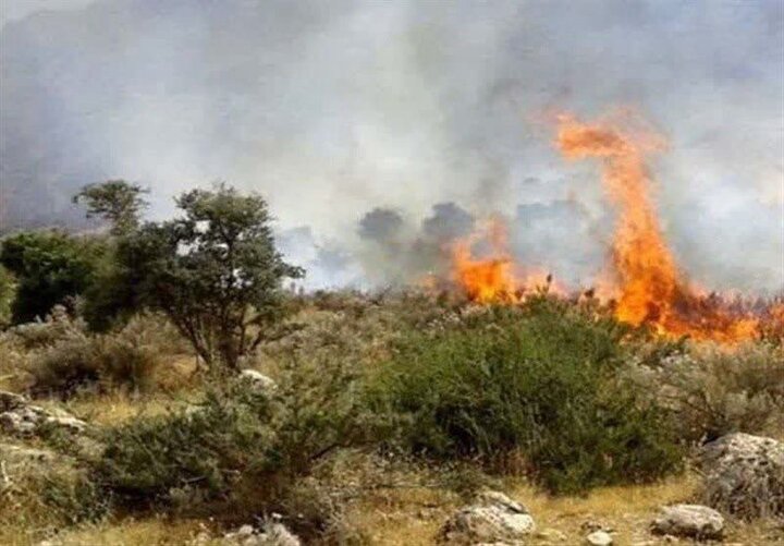 ادامه آتش‌سوزی در جنگل های «سیه‌چل» ایلام