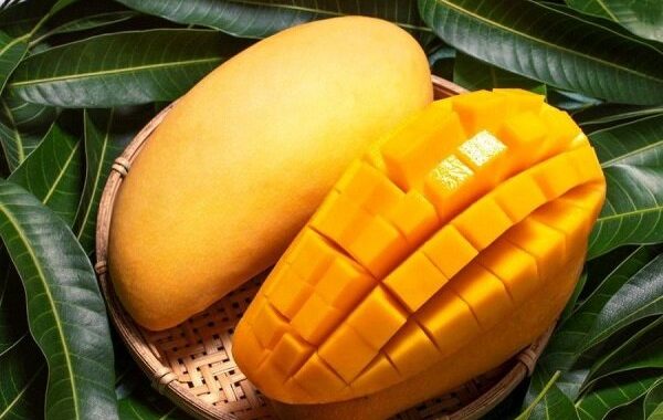 سلطان میوه‌های استوایی با خواص بی‌نظیر برای بدن