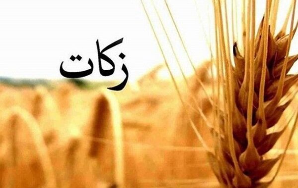 جمع‌آوری ۸۱ میلیارد تومان زکات در کردستان رشد ۴۰ درصدی نسبت به سال گذشته
