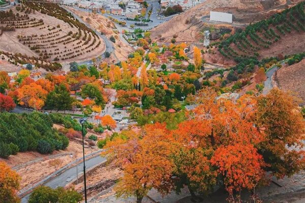 ۷ دمنوش پاییزی برای تقویت سیستم ایمنی و رفع خستگی