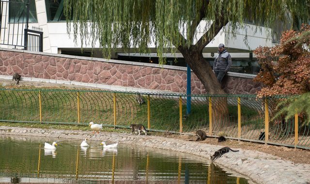 آسمان صاف کشور طی پنج روز آینده